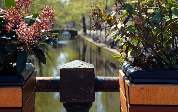 Канали центру Амстердама влітку — стокове фото