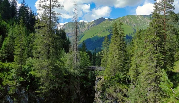 Pont sur la cascade dans les bois en Autriche — Photo