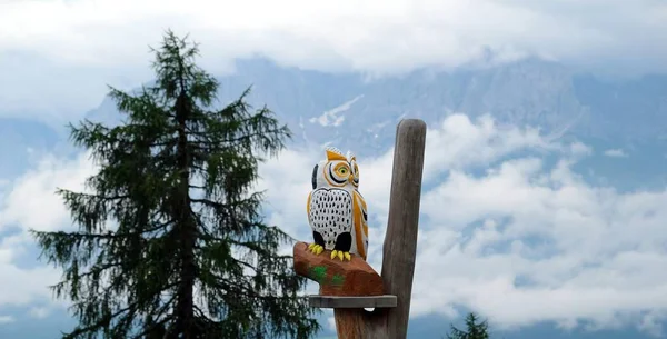 Dřevěná Kamenná Sova Stromě Horách Mraky Rakousku — Stock fotografie