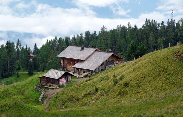 Prado Natural Las Montañas Los Alpes Austriacos Austria — Foto de Stock