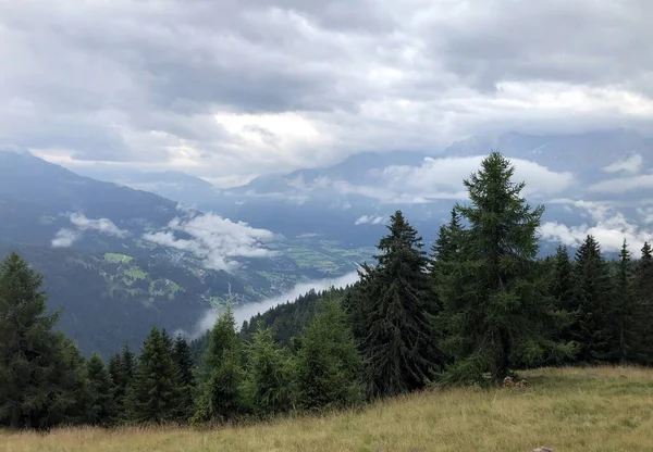 Natuurweide in de bergen van de Oostenrijkse Alpen — Stockfoto