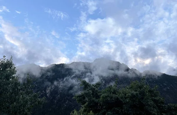 Prairie Naturelle Dans Les Montagnes Des Alpes Autrichiennes Autriche — Photo