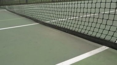 Tenis topu Net Hits