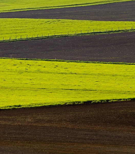 Padrões de campos agrícolas cultivados — Fotografia de Stock