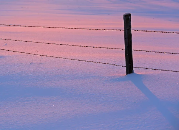 Talvi lumi auringonlasku vaaleanpunainen sininen aita — kuvapankkivalokuva