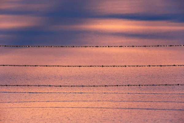 Pink Blue Snow Fence Wire — Stock Photo, Image