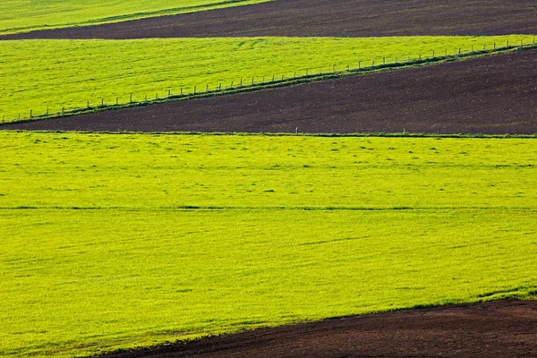 Cultivated Farm Field Patterns — Stock Photo, Image