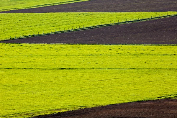 Patrones de campo de granja cultivada — Foto de Stock