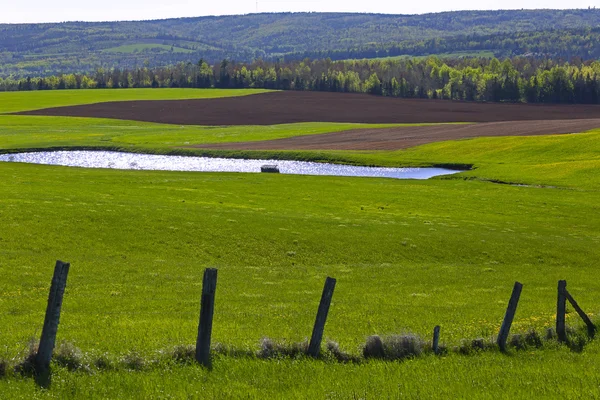 Campagne Clôture de l'étang Culture en champ — Photo