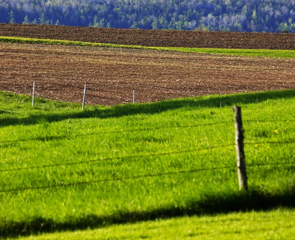 Campos agrícolas cercas de grama de terra — Fotografia de Stock