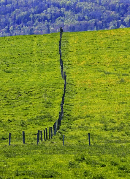 Plotové pole řádku krajiny — Stock fotografie