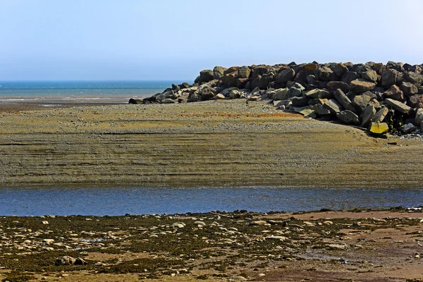 Low Tide bukten Fundy kusten Alma — Stockfoto