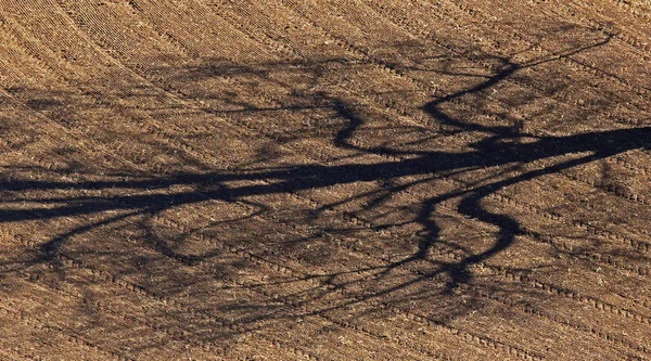 Fattoria campo albero ombra aerea — Foto Stock