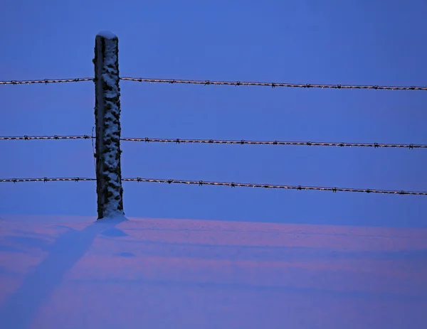 Twilight Snow Fence Blue Icy — Stock Photo, Image