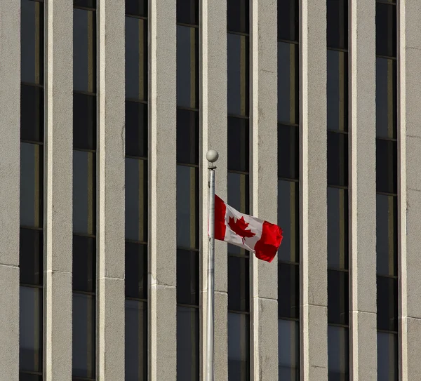Canadese vlag kantoorgebouw — Stockfoto