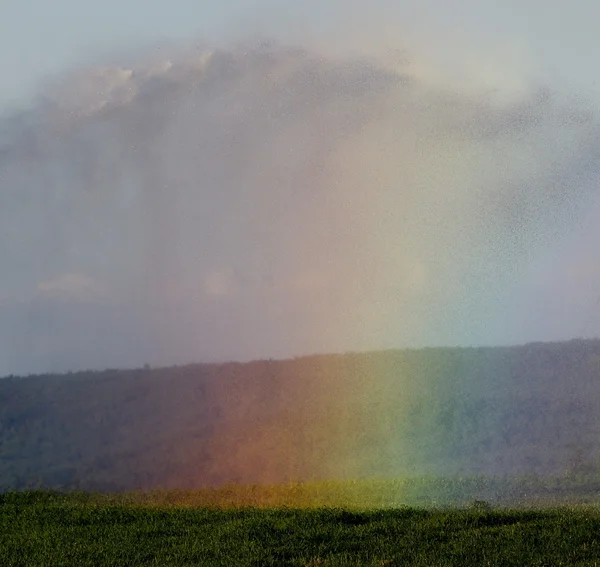 Rainbow Sprinkler Shower — Stock Photo, Image