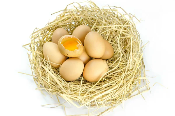 巣の中の茶色の卵 — ストック写真