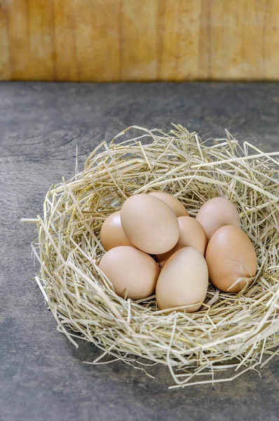 Yuvadaki yumurtalar — Stok fotoğraf