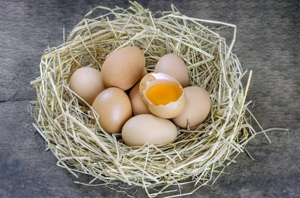 Jaja w gnieździe — Zdjęcie stockowe