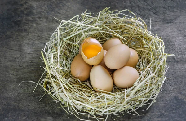 Eggs in nest — Stock Photo, Image