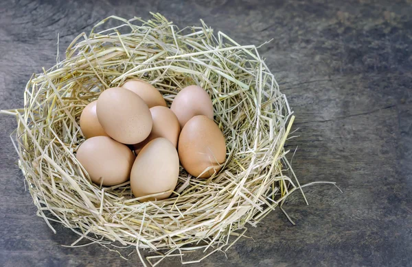 Eggs in nest — Stock Photo, Image