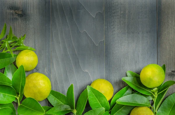 Fotos: bodegones con uvas | uvas de vino bottlle bodegones frutas