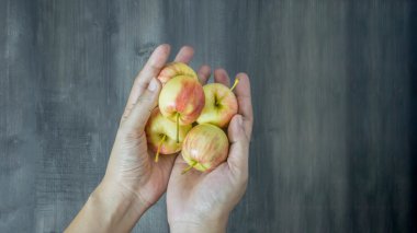 insan eli holding elma  