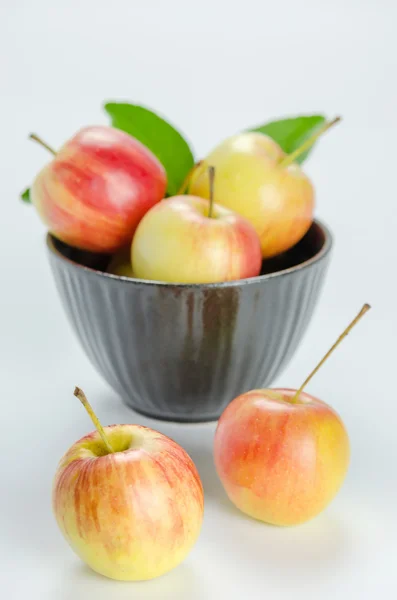 Kırmızı ve sarı elma — Stok fotoğraf