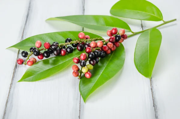 Thai Blueberry fruit — Stock Photo, Image