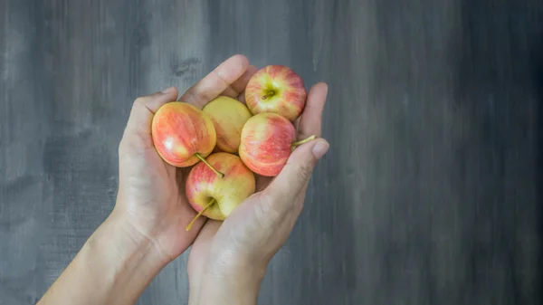 Ludzka ręka gospodarstwa apple — Zdjęcie stockowe