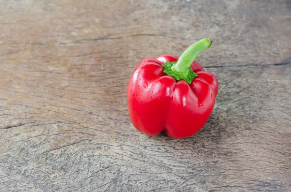 Rote Paprika — Stockfoto