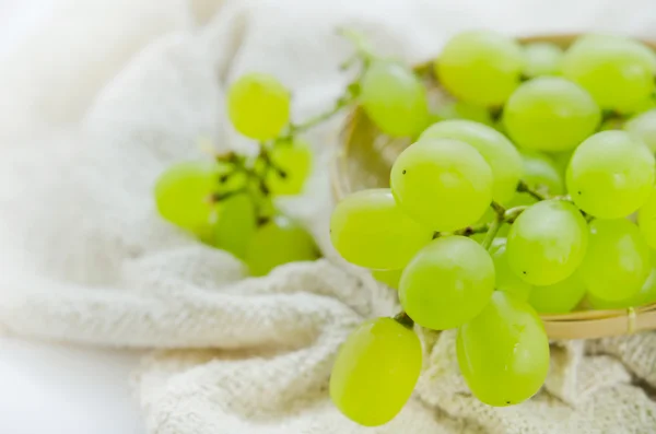 Grønne druer - Stock-foto