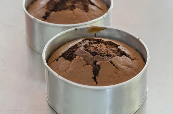 Frischer Schokoladenkuchen — Stockfoto