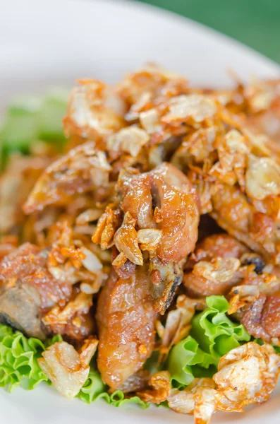 Deep fried chicken — Stock Photo, Image