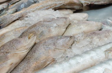 Balık pazarı içinde