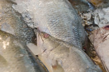 Balık pazarı içinde