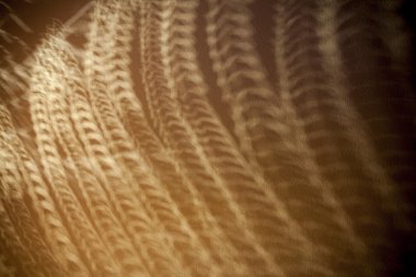 Soyut arkaplan dokusu