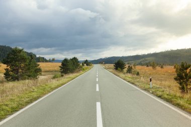 Boş yol, sonbahar dağ manzarası, Zabljak, Karadağ