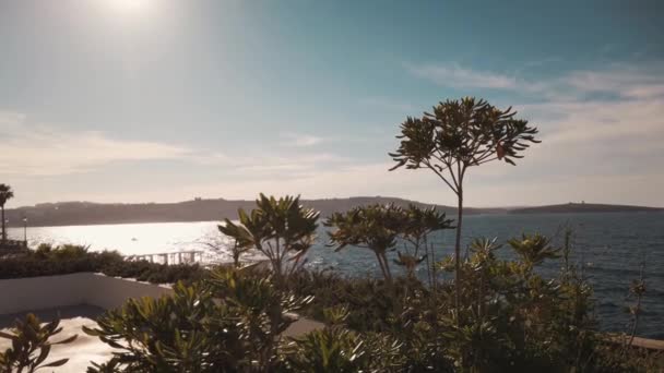 Bugibba kıyısında, Malta 'da bitkilerin içinden güneş geçiyor. Güneşli yaz günü — Stok video