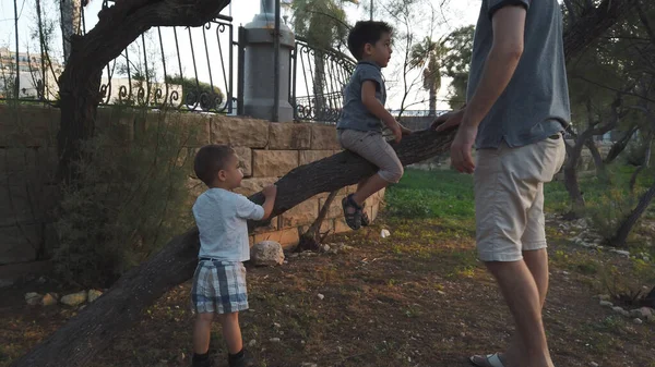 Padre e hijos jugando en el parque. Padre enseña a su hijo a trepar al árbol. Bebé jugando con corteza de árbol — Foto de Stock
