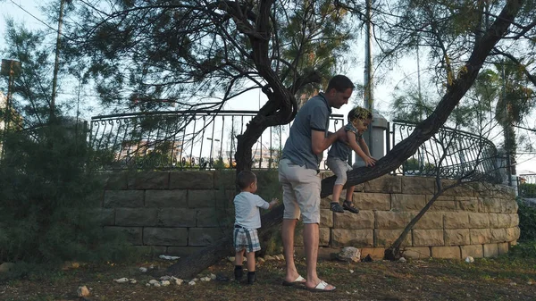 Padre e hijos jugando en el parque. Padre enseña a su hijo a trepar al árbol. Bebé jugando con corteza de árbol — Foto de Stock