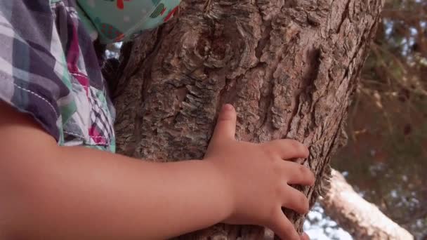 Preschooler boy with face mask climbing and hugging tree. Close up slow motion revealing shot — Αρχείο Βίντεο