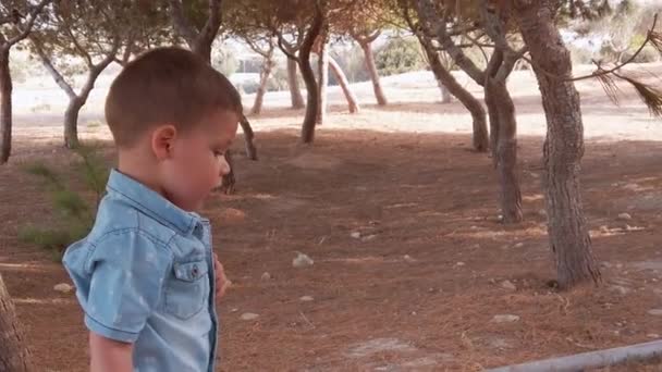 Liebenswertes Kleinkind steht im Sommer im Park mit Bäumen. — Stockvideo