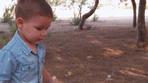 Adorable toddler standing in the park with trees on summer. — Αρχείο Βίντεο