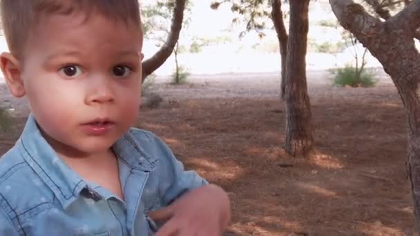 Portrait of adorable 2 years old boy toddler playing in the woods on sunny summer day – Stock-video