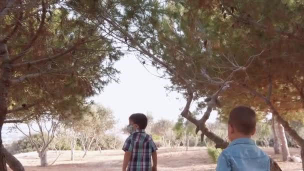 Crianças explorando árvores perenes no parque no dia ensolarado de verão. Movimento lento — Vídeo de Stock