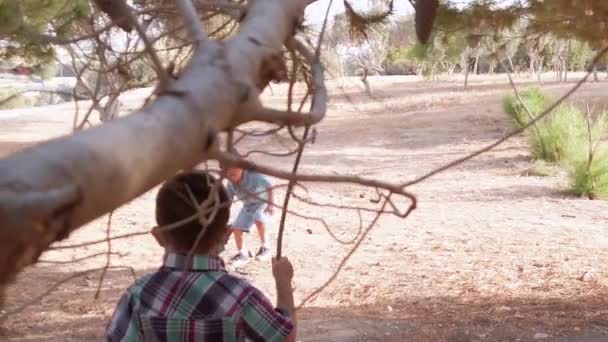 Nette Brüder spielen im Park mit Bäumen an einem sonnigen Sommertag. Kinder genießen frische Luft — Stockvideo