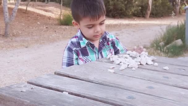 Χαριτωμένο παιδί του νηπιαγωγείου και ο αδελφός του βάζοντας άσπρες πέτρες στο ξύλινο τραπέζι στο πάρκο. Κλείσιμο, αργή κίνηση — Αρχείο Βίντεο