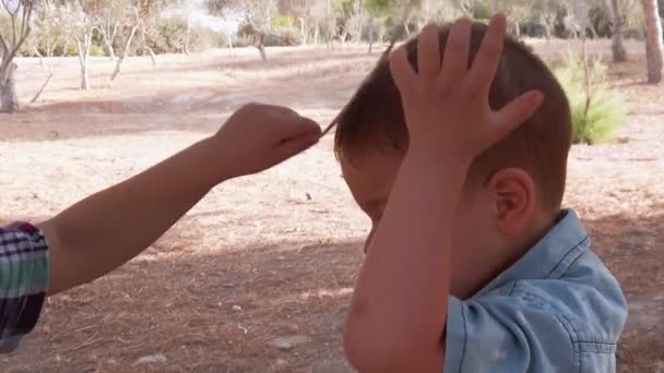 Bambini, fratelli che giocano nel parco. Ragazzo più vecchio mettere ramo sulla testa del bambino insoddisfatto — Video Stock