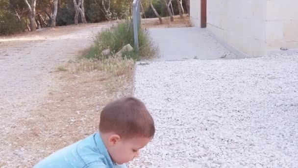 Adorável criança pegando pedras brancas seixos e pisando nele no parque — Vídeo de Stock